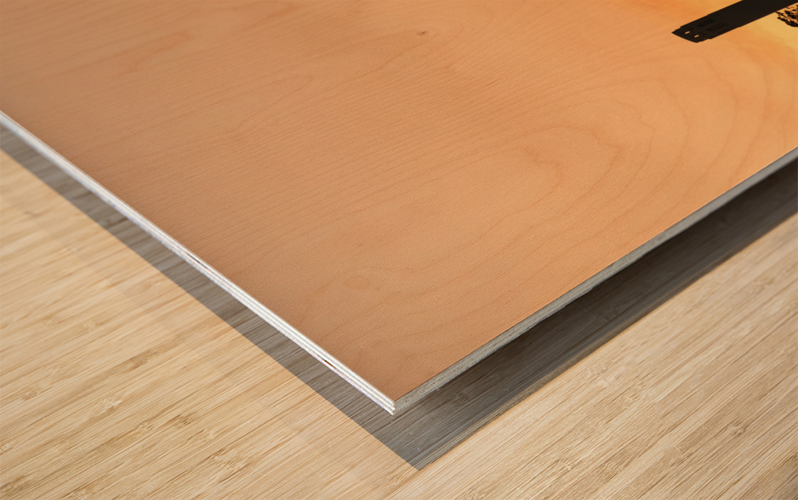 Coit tower at sunset in San Francisco Wood print