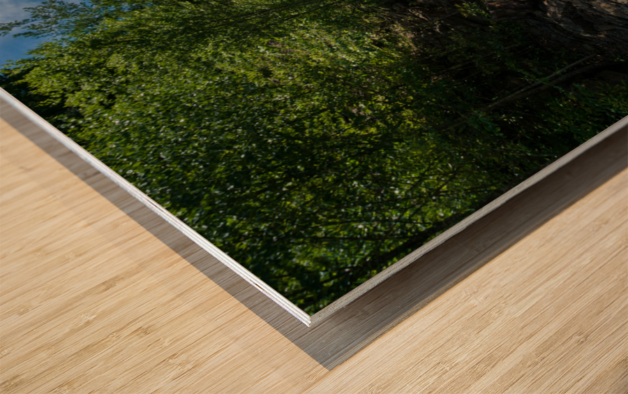 Old railway track at High Falls of Cheat Wood print