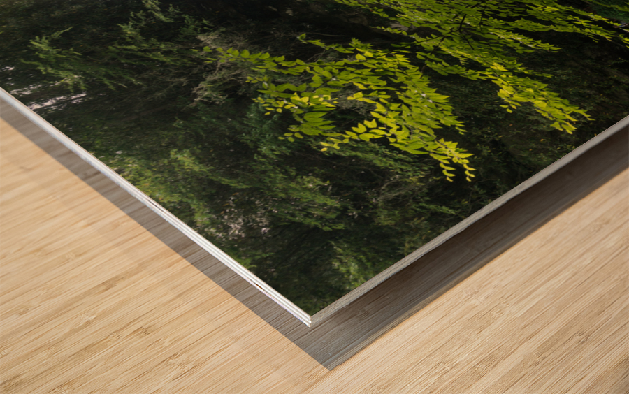 Dry Falls Waterfall near Highlands NC Wood print