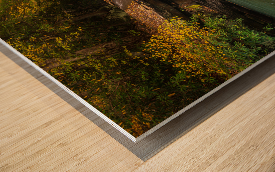 Waterfall on Deckers Creek near Masontown Impression sur bois