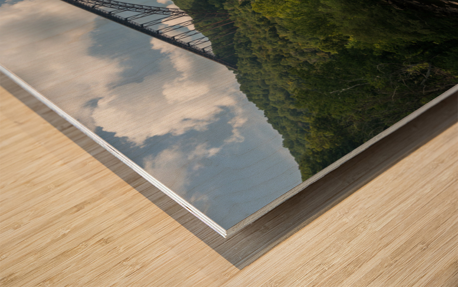 Rafters at the New River Gorge Bridge Wood print