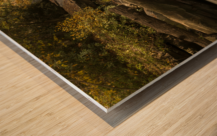 Waterfall on Deckers Creek near Morgantown Wood print