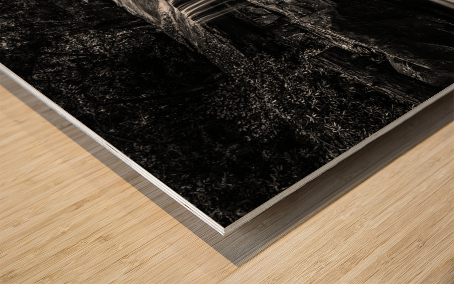 Black and White Waterfall on Deckers Creek Impression sur bois