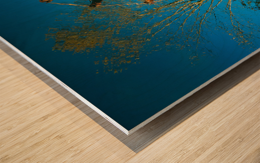 Ferris Wheel ride at abandoned funfair  Wood print