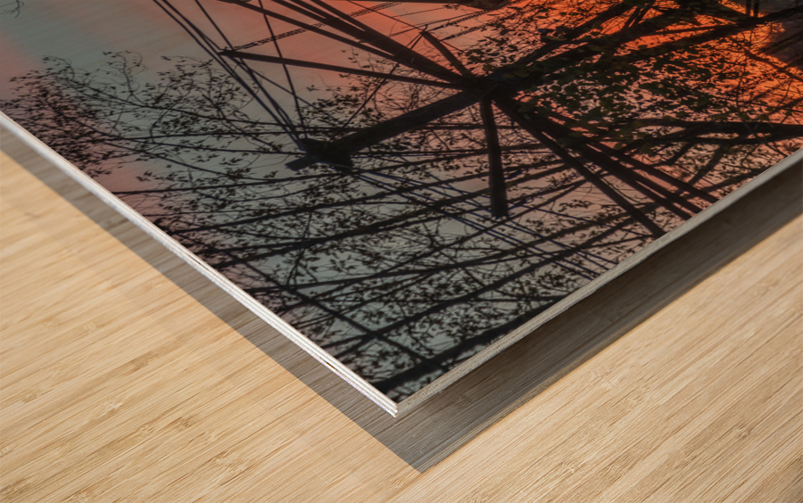 Ferris Wheel ride at abandoned funfair  Wood print