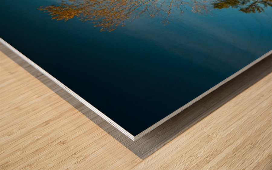 Ferris Wheel ride at abandoned funfair  Wood print