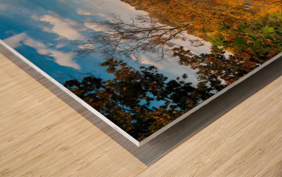 Fall colors on Cheat Lake Morgantown Wood print