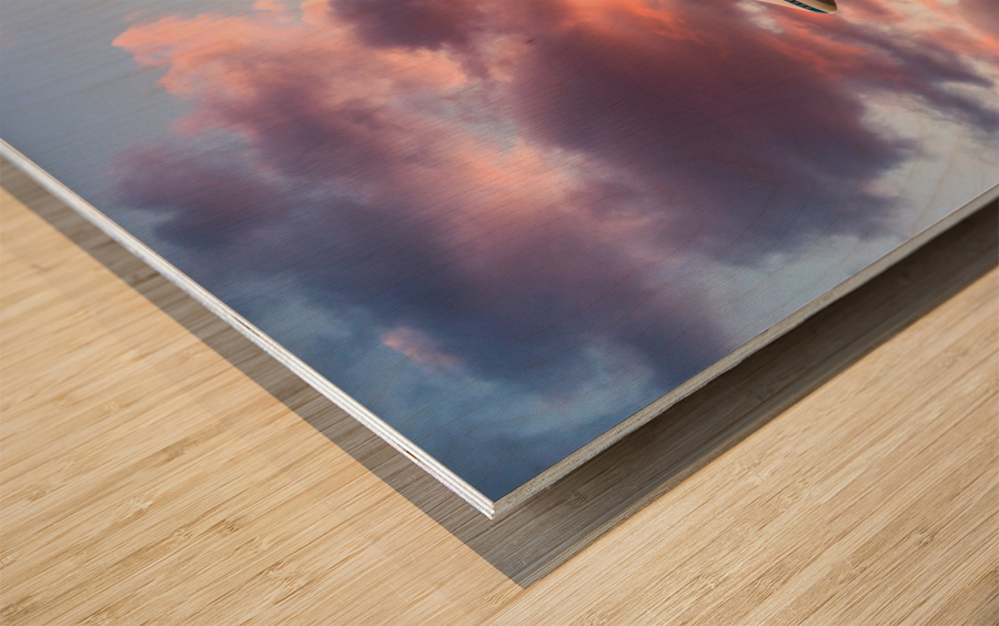 Space Shuttle Discovery flies into retirement Wood print