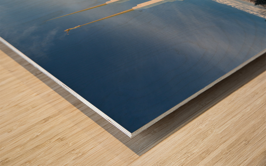 Mormon temple in Washington DC in late winter Wood print