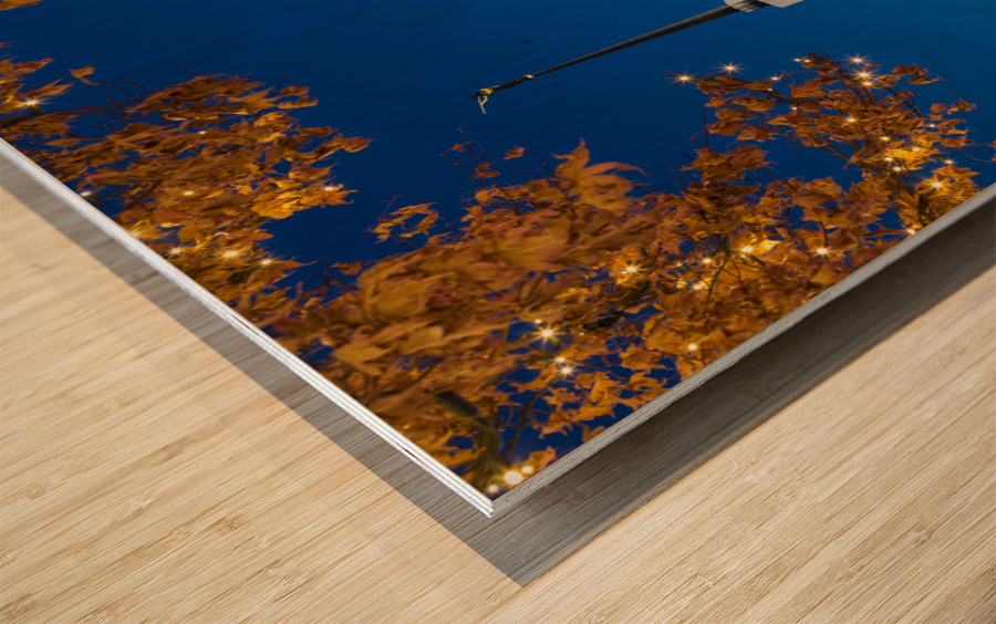 Mormon temple in Washington DC with xmas lights Wood print