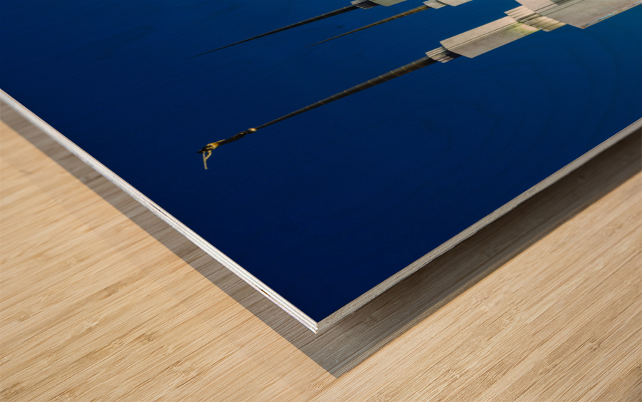 Mormon temple in Washington DC with xmas lights Wood print