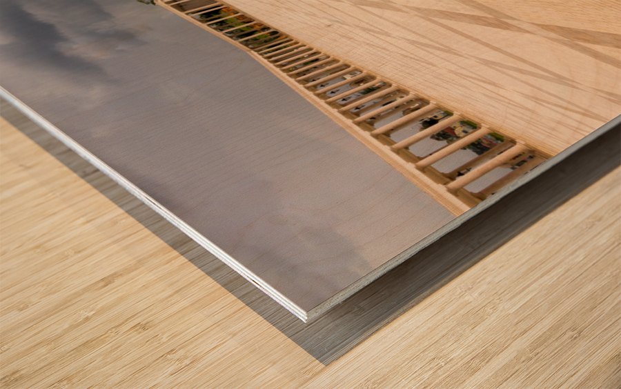 Basilica of Mongomo in Equatorial Guinea Wood print