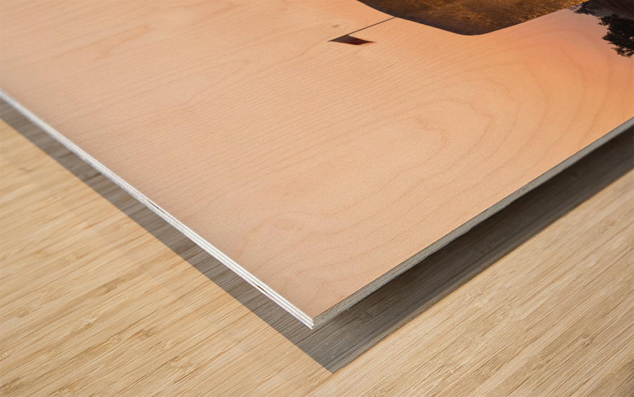 Old Bahrain Fort at Seef at sunset Wood print