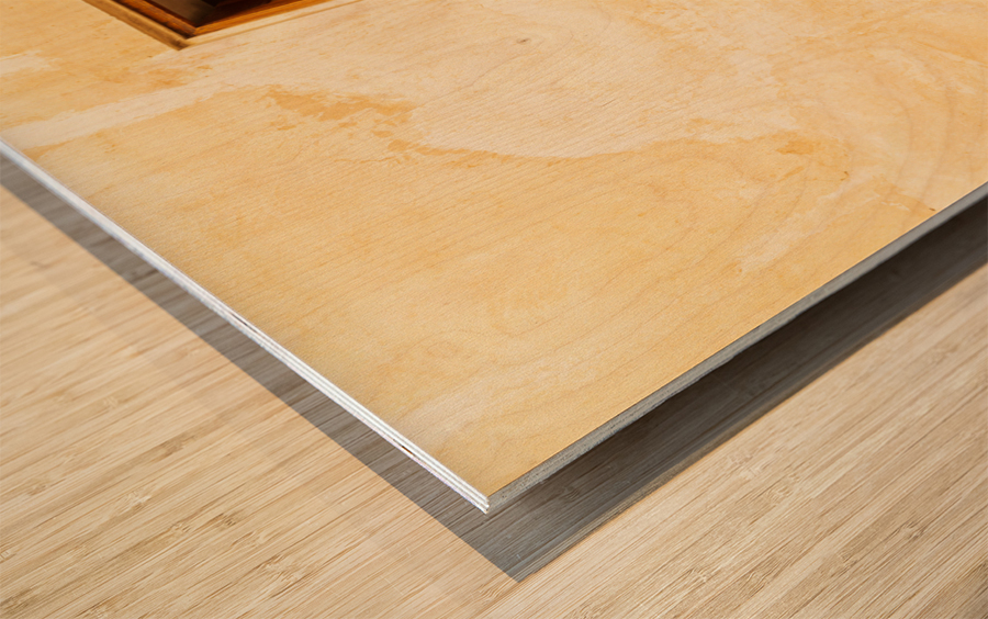 Shaikh Isa bin Ali House Bahrain Wood print