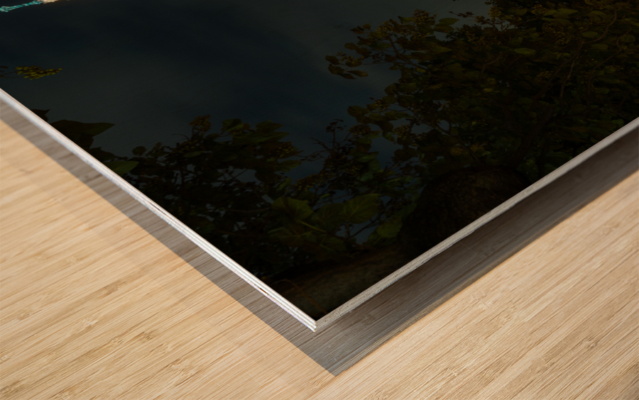  Rathaus in Vienna Austria Impression sur bois