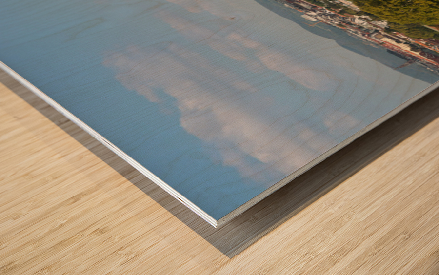 Schonbrunn Palace Vienna Austria Wood print