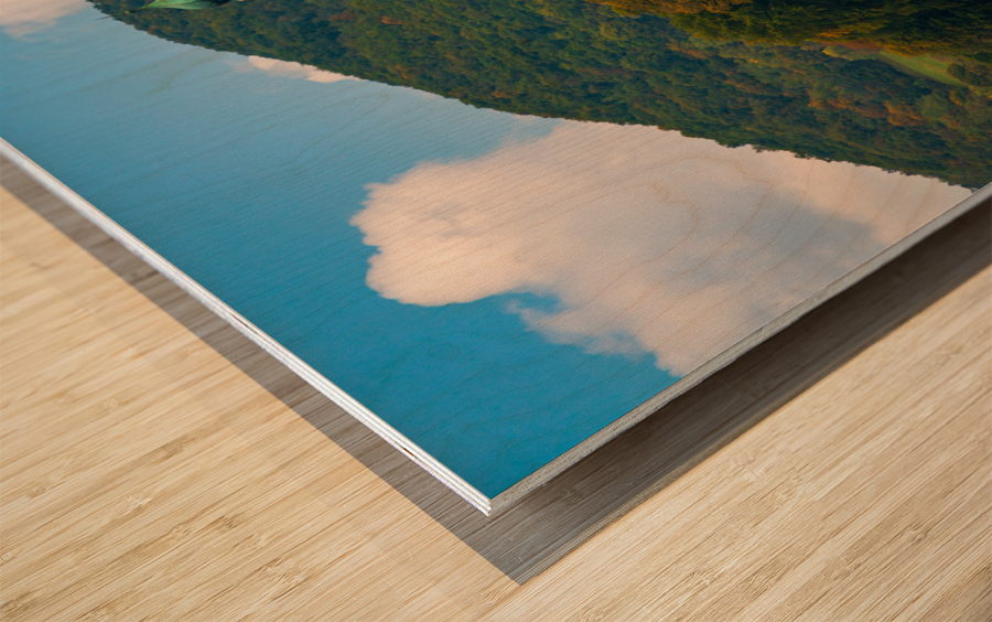 Schloss Schoenbuehel on Danube riverbank Wood print