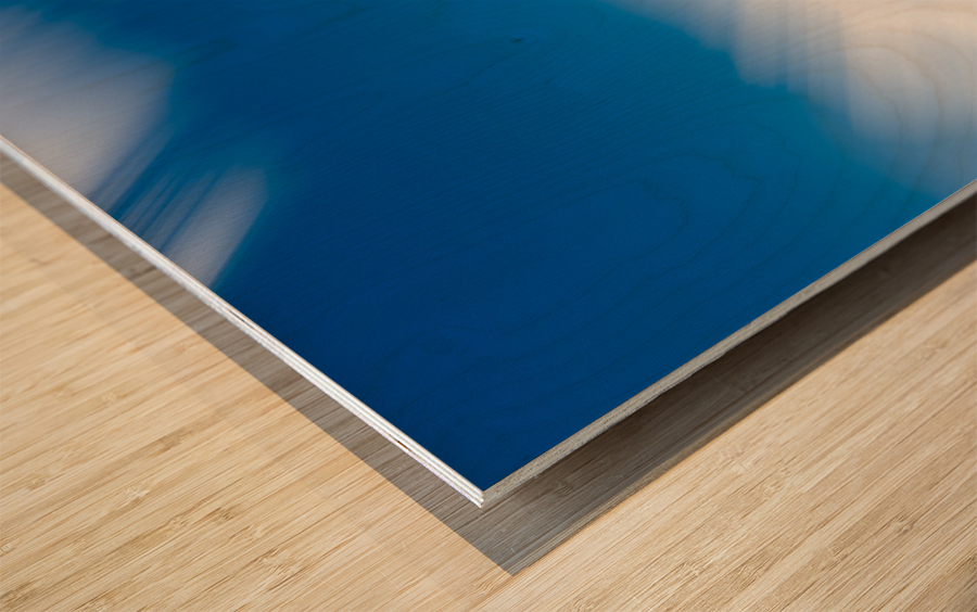 Congress capitol dome in Washington DC Impression sur bois