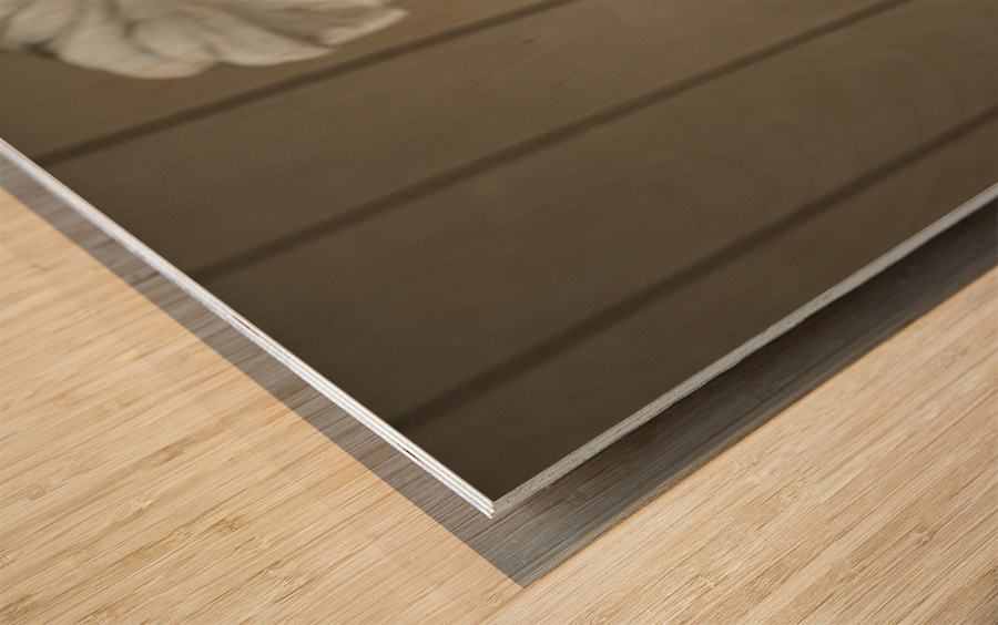 President Lincoln statue with focus on fist Impression sur bois