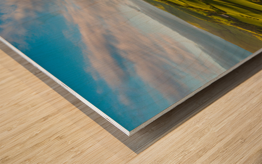 Typical english or welsh farming country Wood print