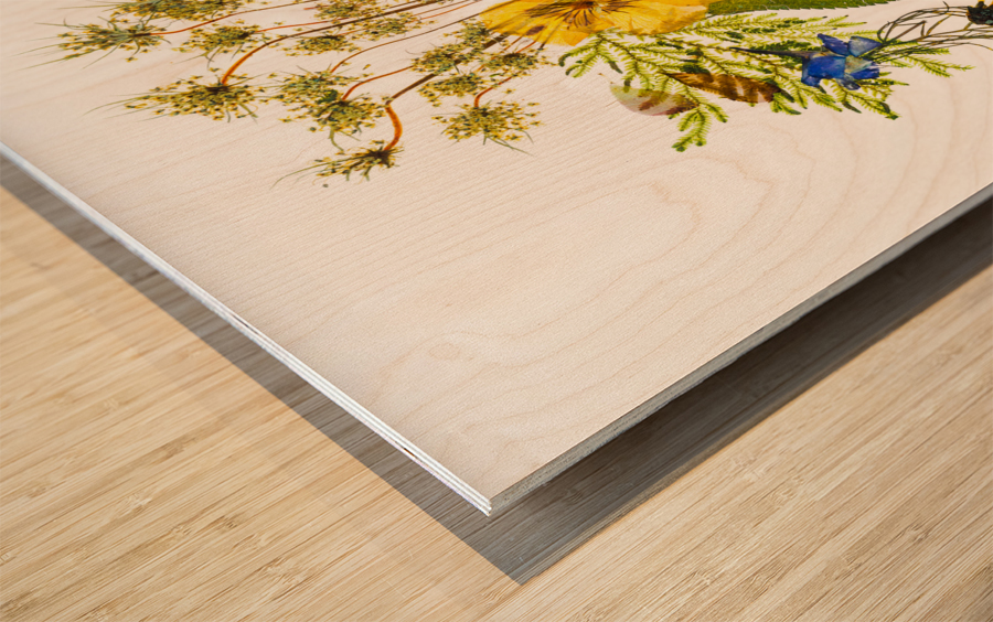 Arrangement of dried pressed flowers Wood print