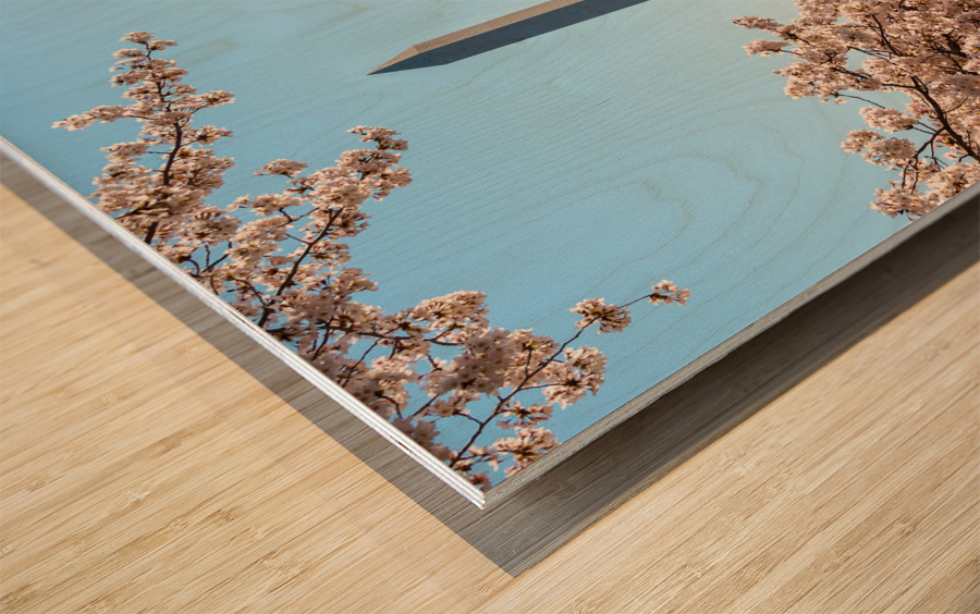 Washington Monument towers above blossoms Wood print