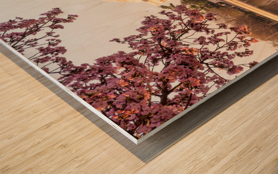 Beautiful early morning Jefferson Memorial with pastel colors Wood print