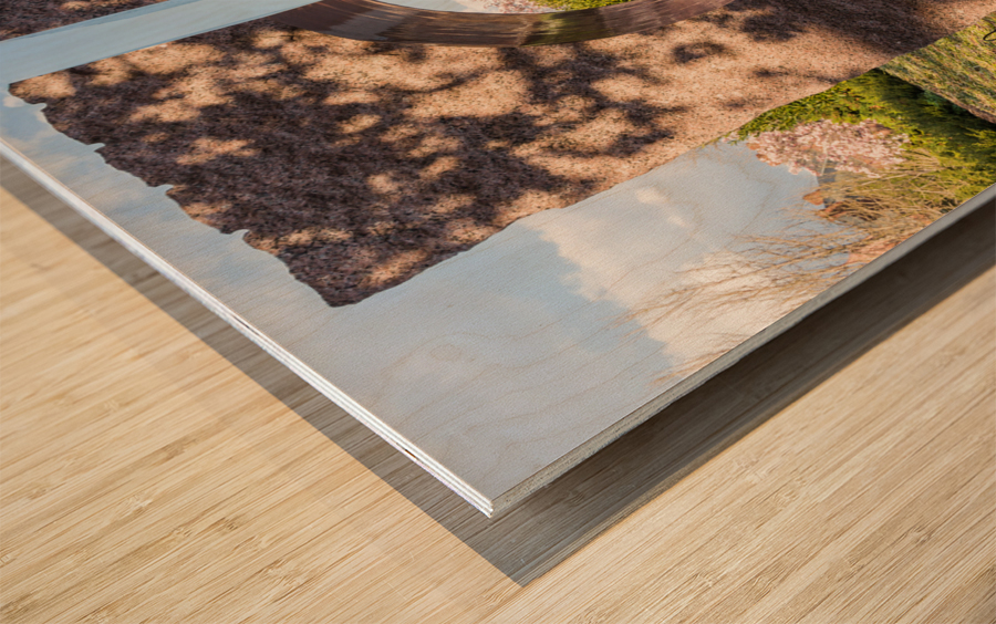 Smithsonian Institution gardens Washington DC Impression sur bois