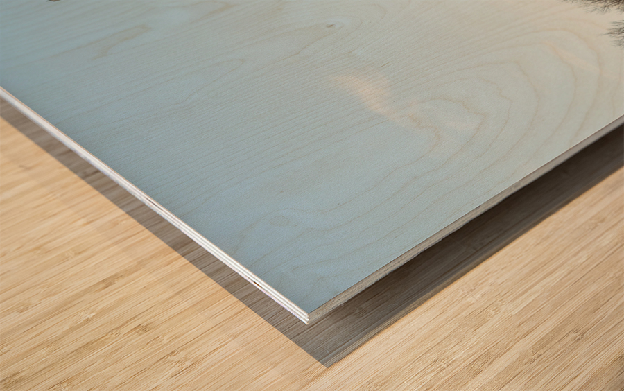 George Washington National Masonic Memorial Wood print