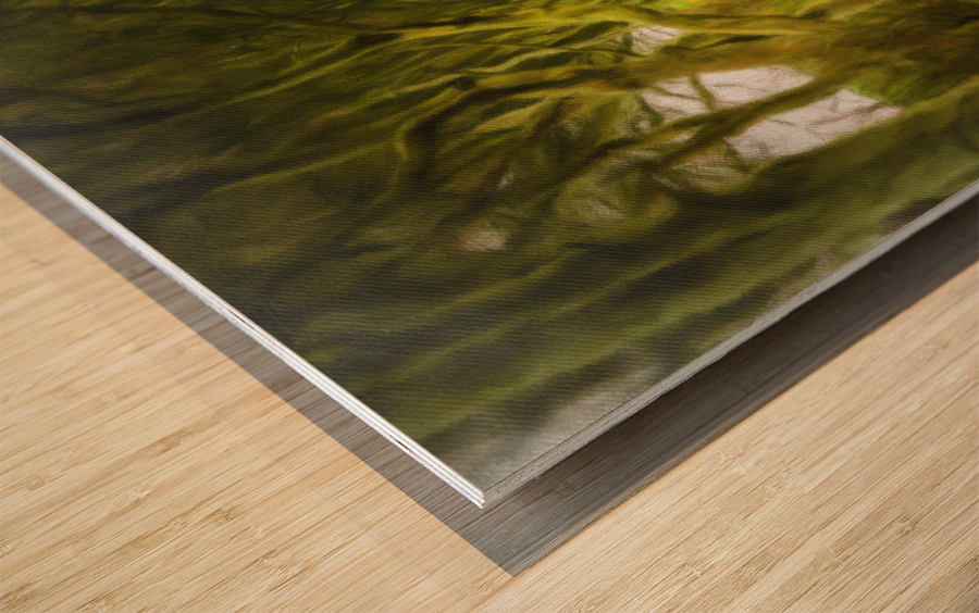 Dark Hedges road through old trees Wood print