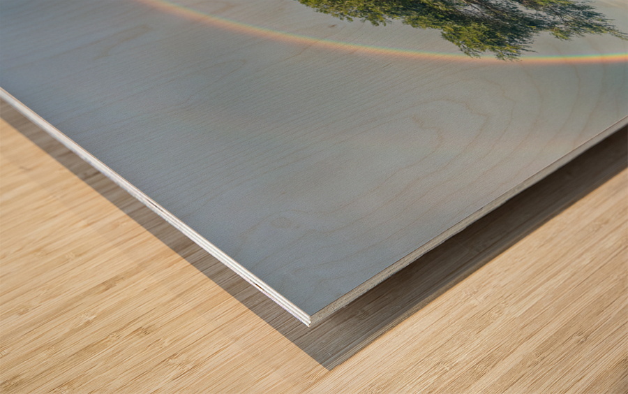 Tree of life with rainbow Impression sur bois