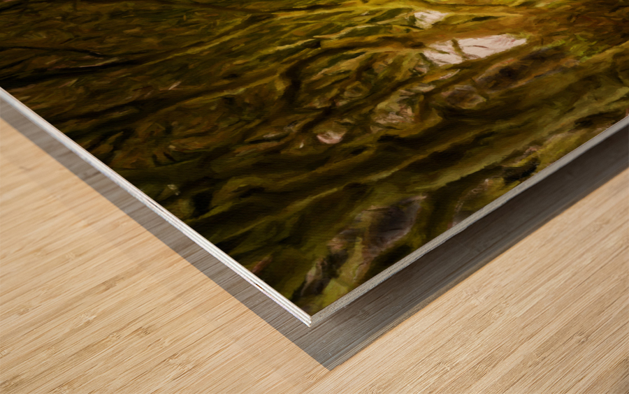 Dark Hedges road through old trees in digital oil Wood print