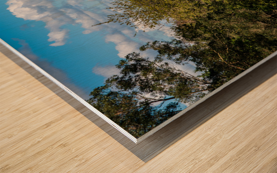 View across the rolling countryside of Cornwall Wood print