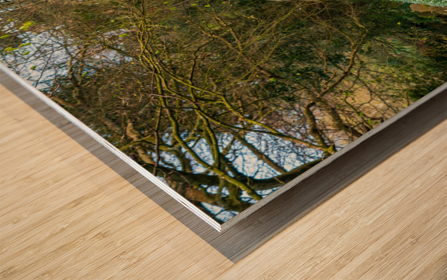 St Just in Roseland parish church in Cornwall UK Wood print