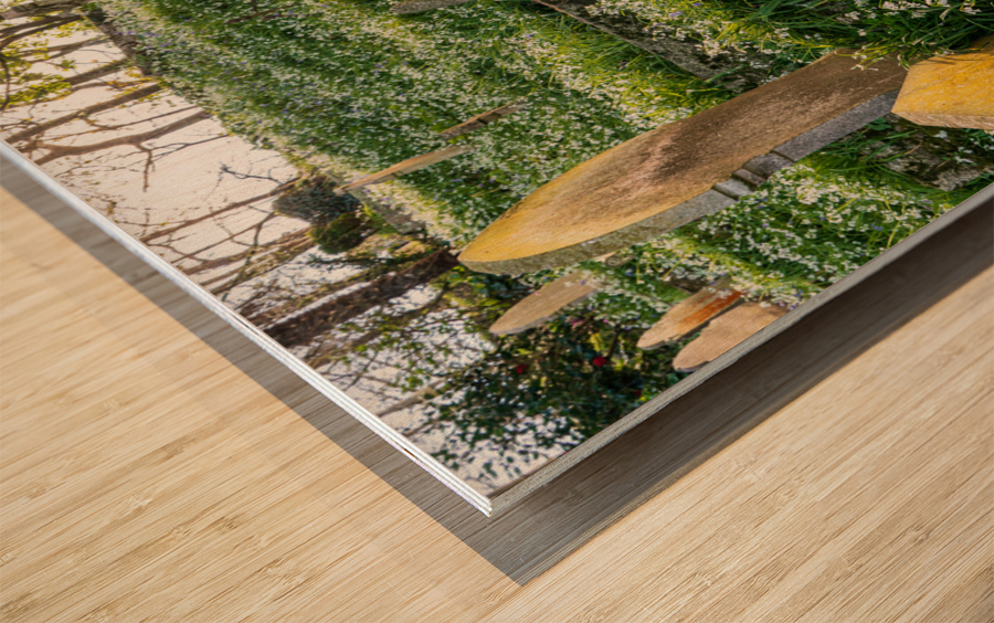 St Just in Roseland parish church in Cornwall UK Wood print