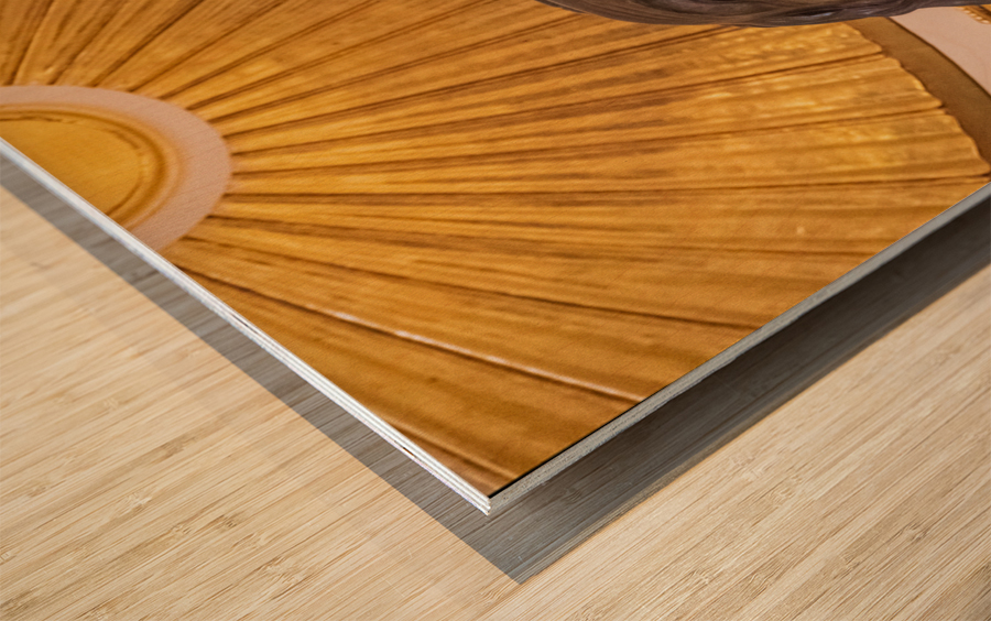 Head of the statue of George Washington Wood print