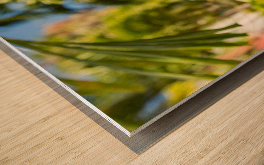 Famous 99 steps Charlotte Amalie Wood print