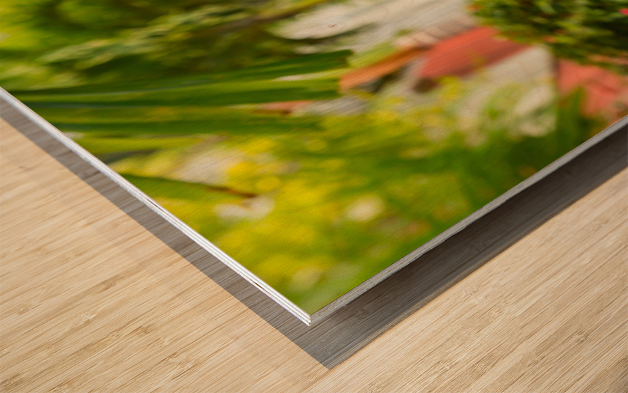 Famous 99 steps Charlotte Amalie Wood print