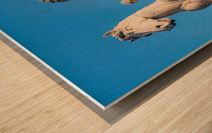 Comune di Roma town hall Wood print