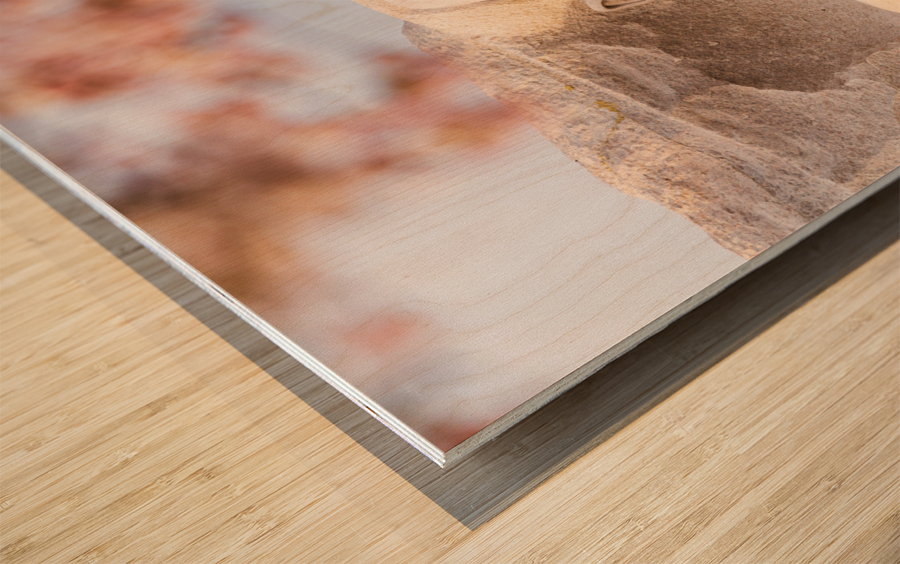 Martin Luther King Monument Washington DC Wood print