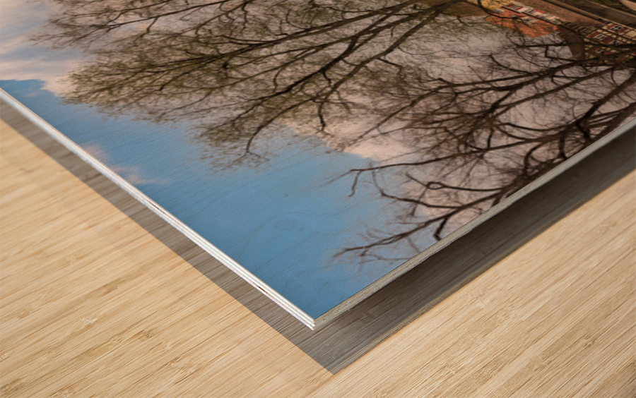 Panorama of Schwabisch Hall Germany Wood print