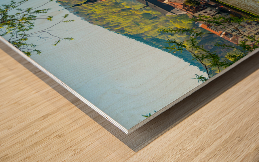 Old bridge into town of Heidelberg Germany Wood print