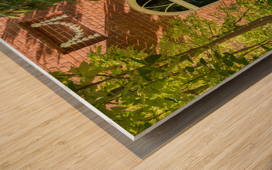 Coxs Row Georgetown Washington DC Wood print