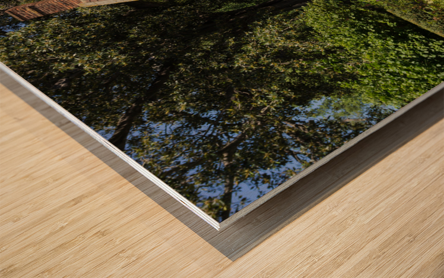 Cottage garden of small brick home Impression sur bois