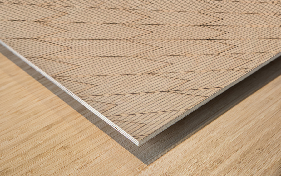 Unusual view of Sydney Opera House Wood print