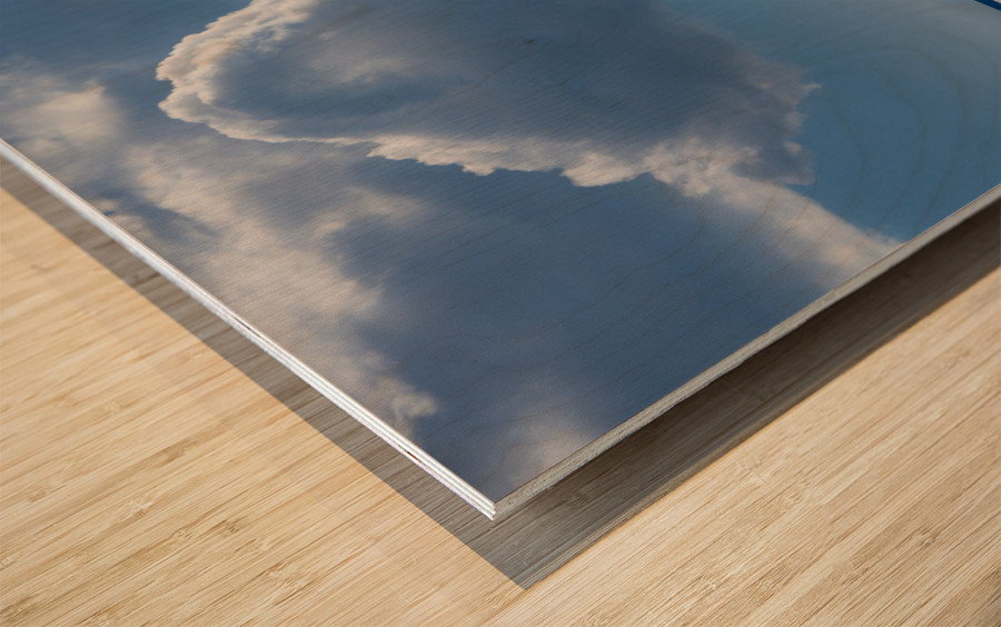 Old rowing boat marooned at sea Wood print