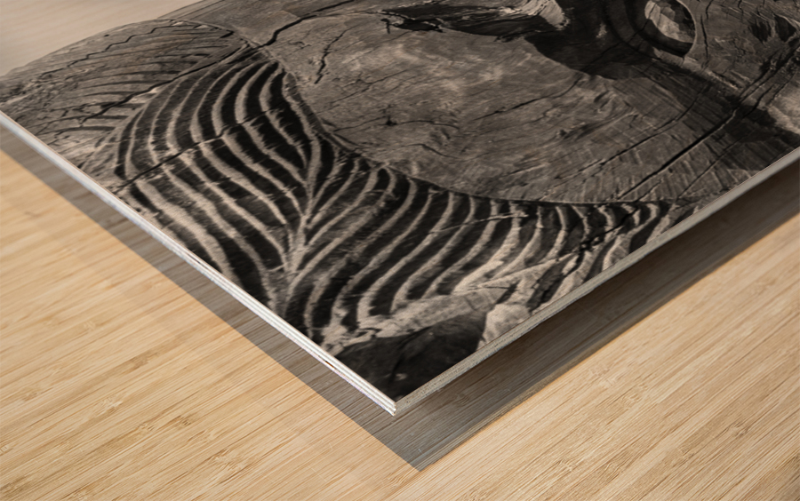 Maori carved head at Whakarewarewa Wood print