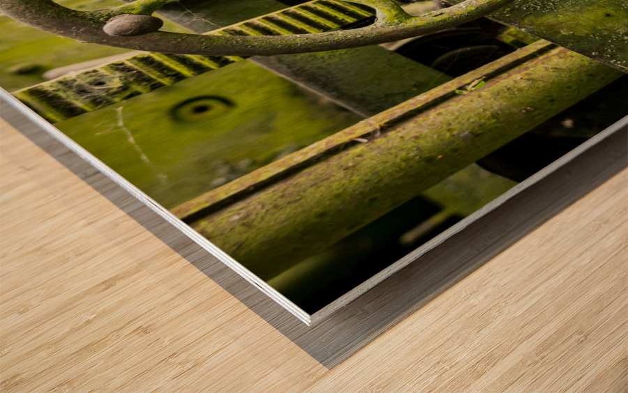 Moss covered farm machinery with handle Wood print