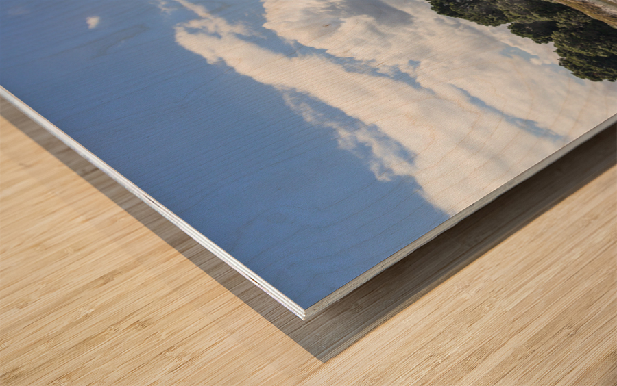 Whakarewarewa thermal geyser area Wood print