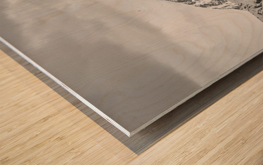 Black and white view of the mountains above Hubbard Glacier Wood print